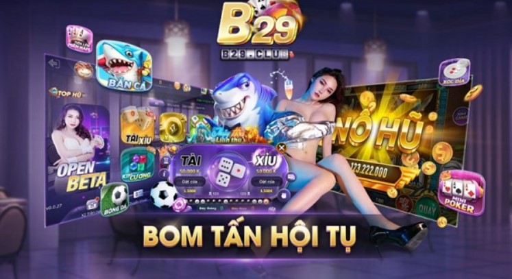 So sánh B29 với Ricwin